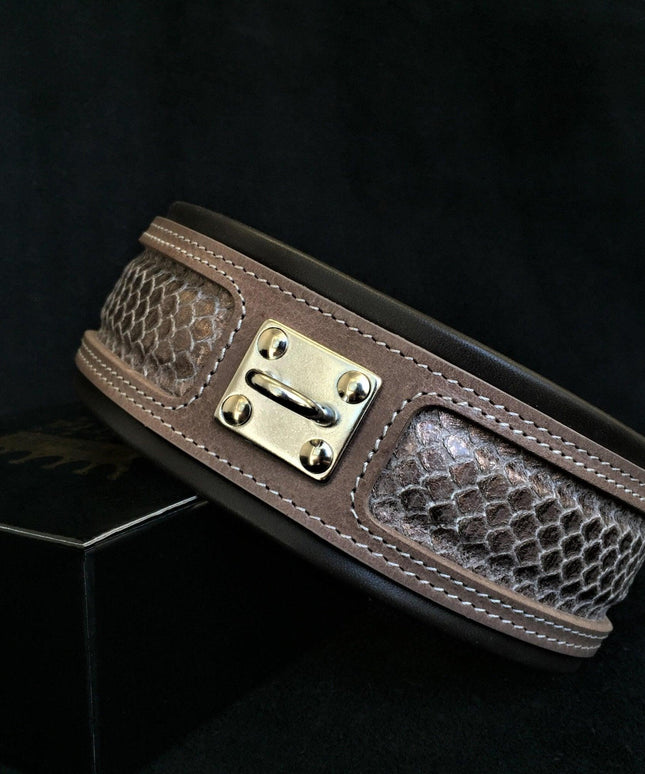 The ''Python'' exclusive design