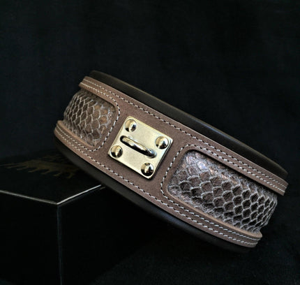 The ''Python'' exclusive design-0