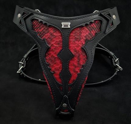 The ''Red Dragon'' harness-0
