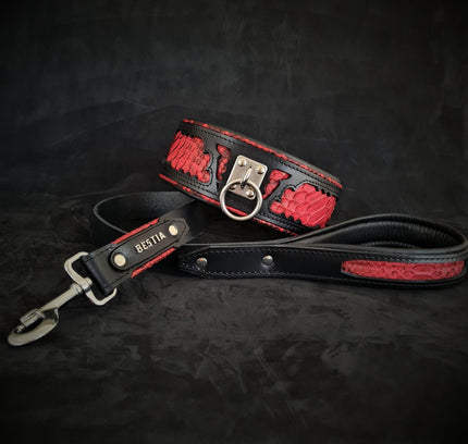 The ''Red Dragon'' leash-1