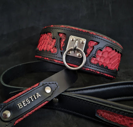 The ''Red Dragon'' leash-3