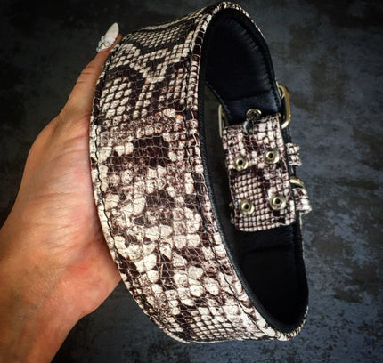The ''Rock Python'' collar-2