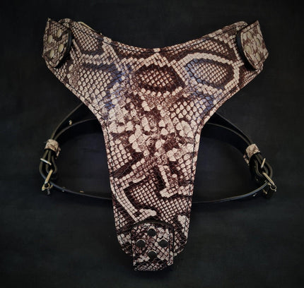 The ''Rock Python'' harness