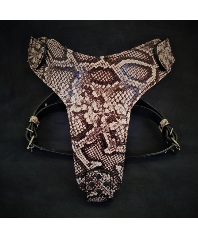 Le harnais ''Rock Python''