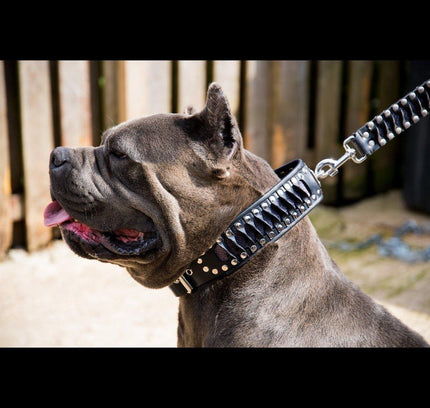 The ''Steampunk'' collar exclusive design-1