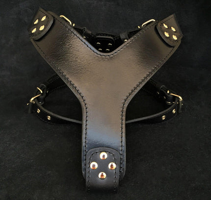 The ''Style'' harness Black-0