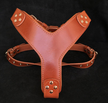 The ''Style'' harness Brown-0