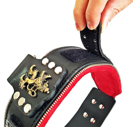 The unique "General" leather dog collar for big dogs-2
