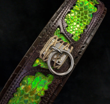 The ''Venom'' collar-2