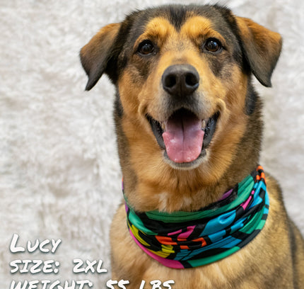 Zoomies Pup Scruff-2