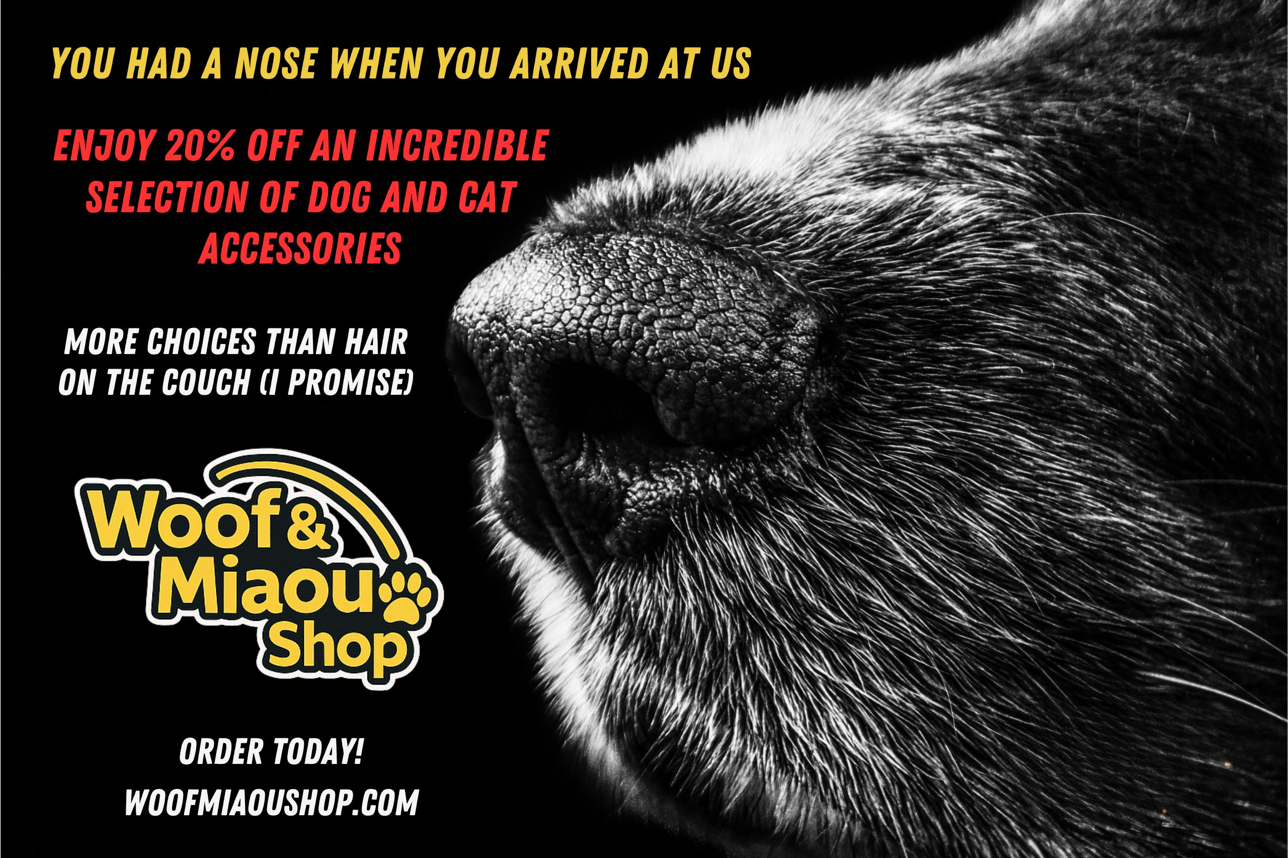 Our Current Promotions – Don't Miss These Amazing Deals!