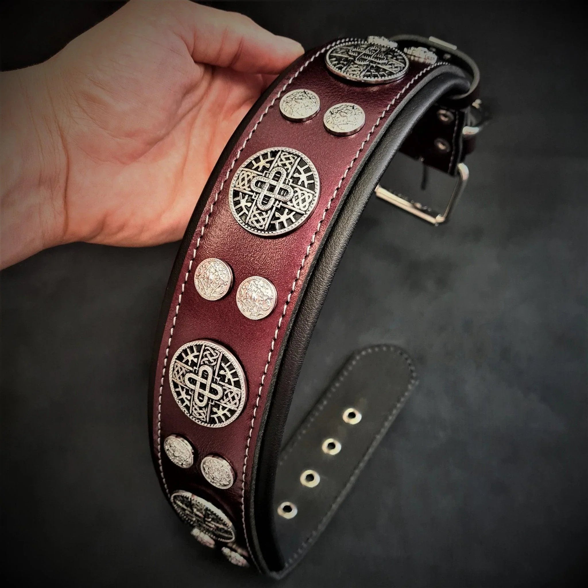 Tactical vs Classic Dog Collar: Which One Should You Choose?