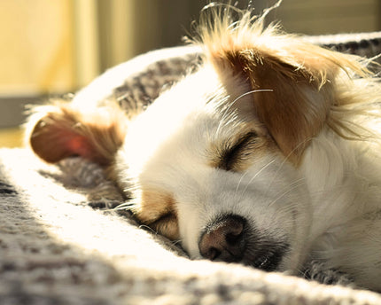 Collection image for: Nap and Comfort Collection