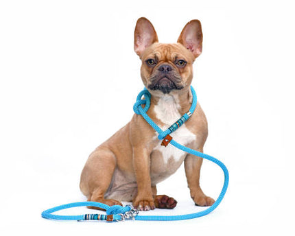 Collection image for: The Ride Collection