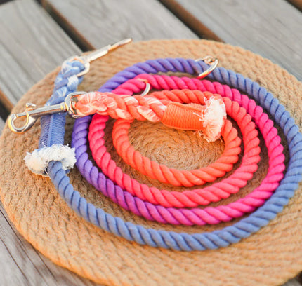 HANDS FREE DOG ROPE LEASH - PALETTE-0