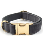 Gold Buckle Collar