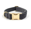 Gold Buckle Collar / XS