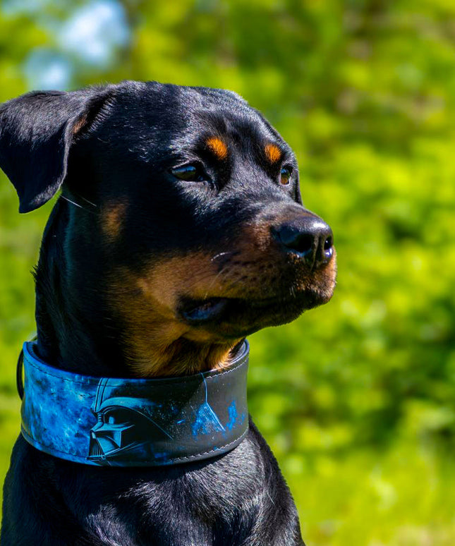 The Darth Force Limited Collar-3