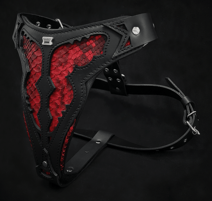 The ''Red Dragon'' harness
