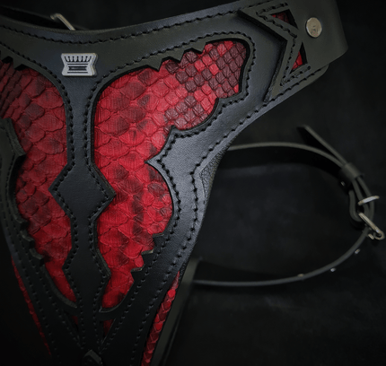 The ''Red Dragon'' harness