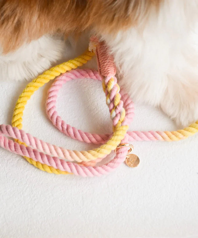 HANDS FREE DOG ROPE LEASH - OH MY MARSHMALLOW-1