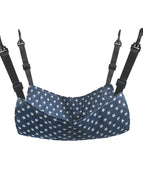 Blue Star Spring And Autumn