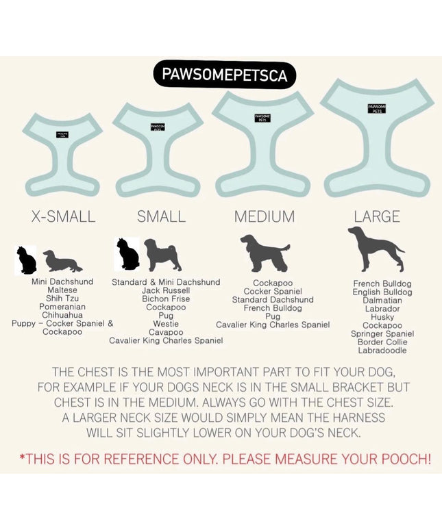 ADJUSTABLE HARNESS - AQUAMARINE