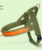 Green Single Chest Back