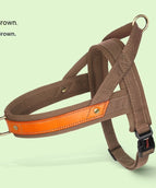 Earth Brown Single Chest Back