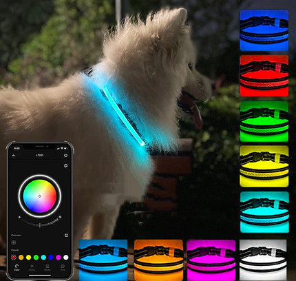 USB Charging Shiny Dog Collar