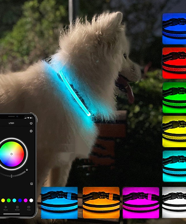 USB Charging Shiny Dog Collar