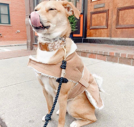 ROPE LEASH - OMBRE OLIVE-3