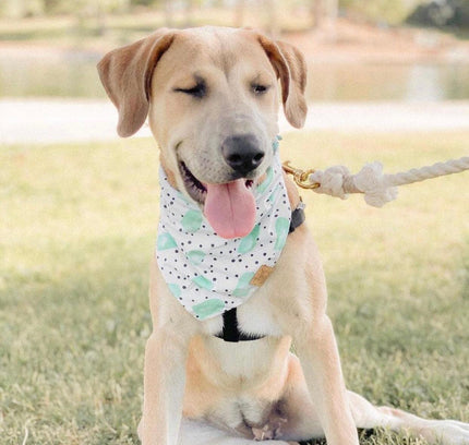 ROPE LEASH - NATURAL-4