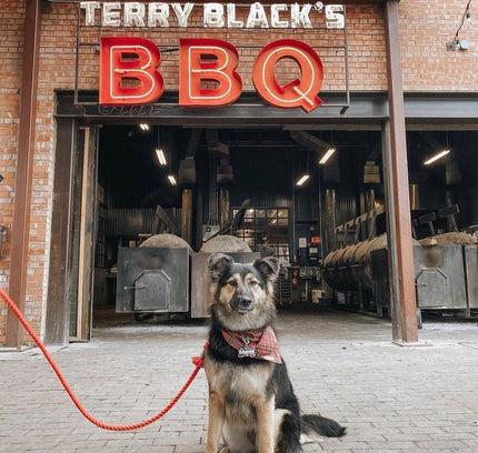 ROPE LEASH - PRIMROSE-2