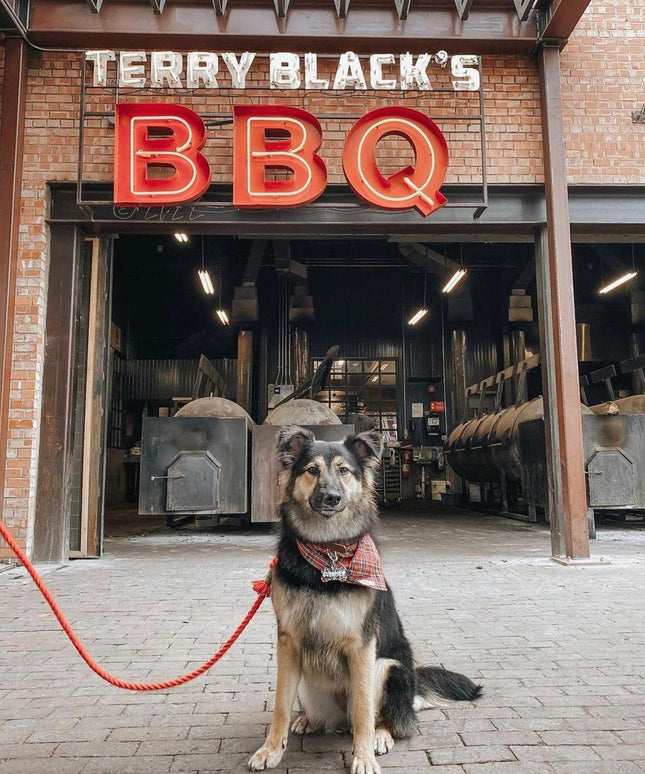 ROPE LEASH - PRIMROSE-2