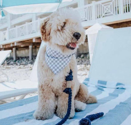 ROPE LEASH - SUNSET-4