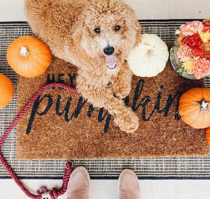 ROPE LEASH - OMBRE PINK-3