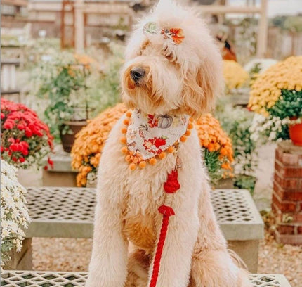 ROPE LEASH - LEMON DROP-1