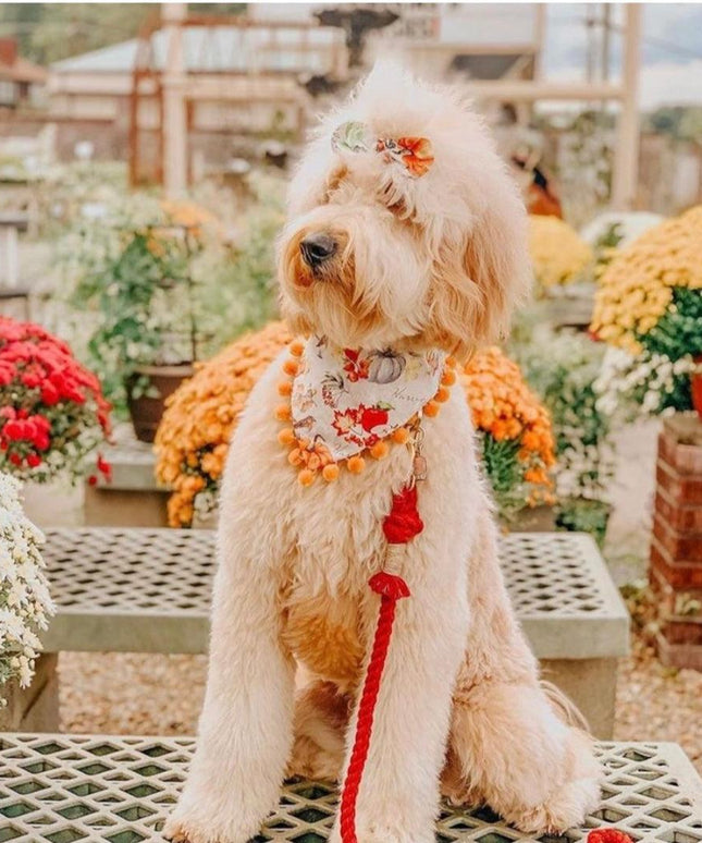 ROPE LEASH - LEMON DROP-1