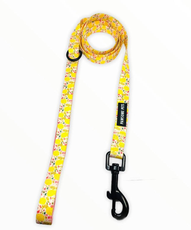 LEASH - OH MY LEMON-1