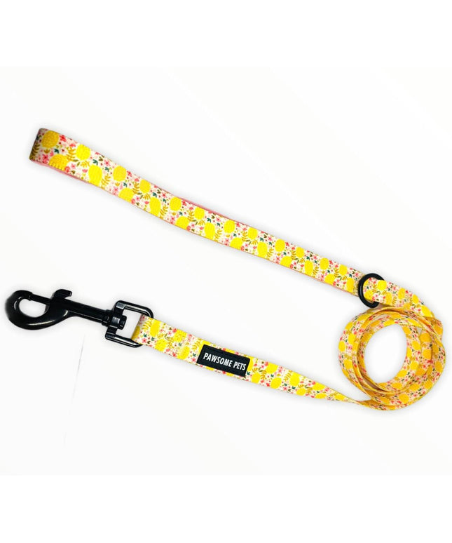 LEASH - OH MY LEMON-0