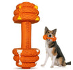 Round Dumbbells Orange / Large
