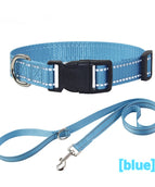Rope Collar Blue