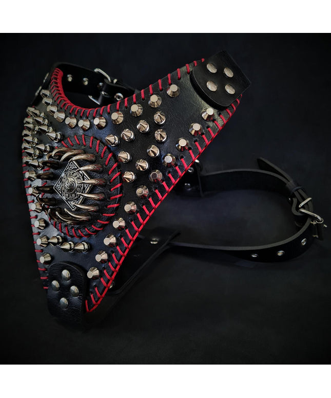 Handstitched "David" harness