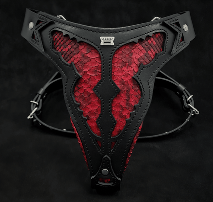 The ''Red Dragon'' harness