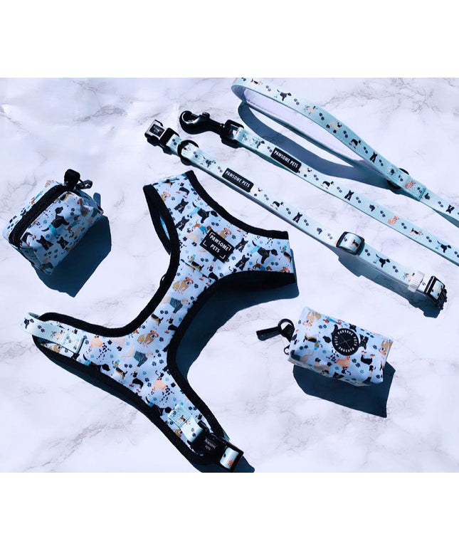 BUNDLE - DAPPER DOGGY (4 PIECES)-0