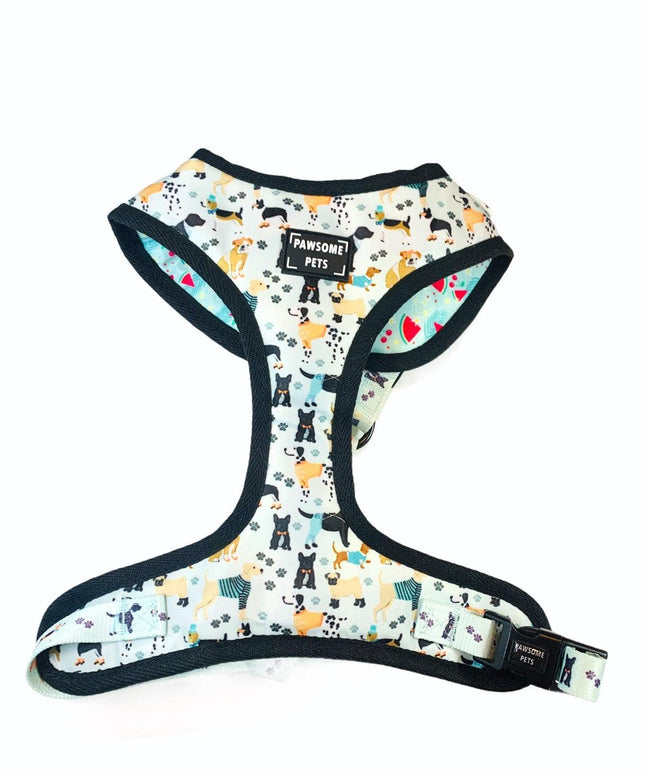 BUNDLE - DAPPER DOGGY (4 PIECES)-2