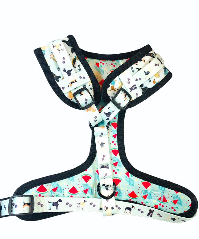 ADJUSTABLE HARNESS - DAPPER DOGGY-2