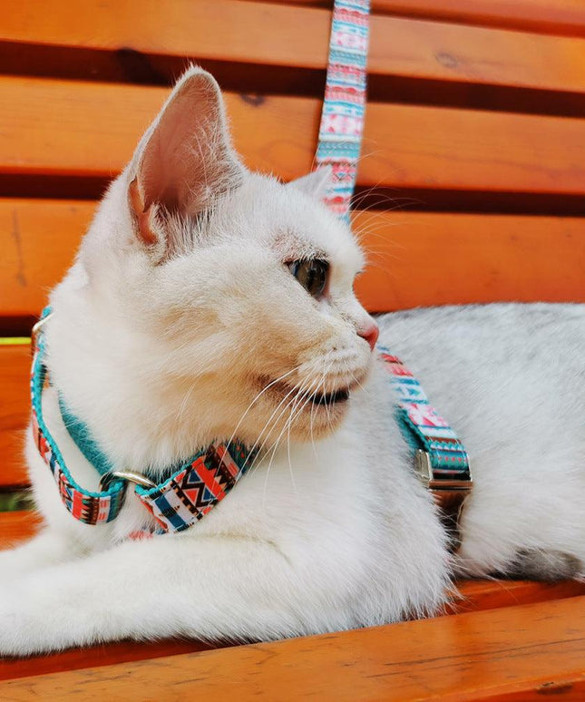 STEP IN HARNESS - TROPICAL-3