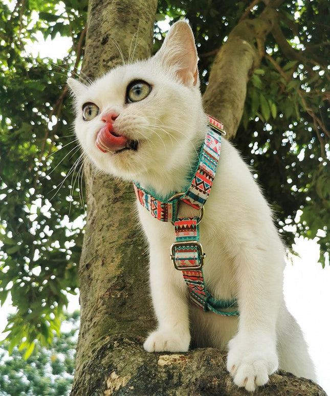 STEP IN HARNESS - OH MY BUBBLES-3